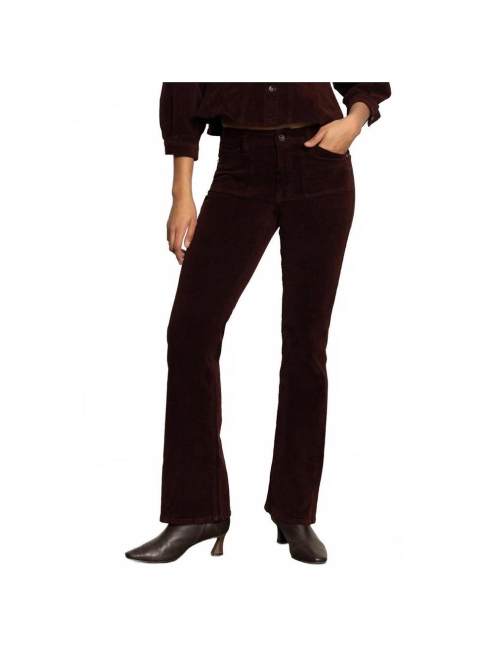 NEW SANCTUARY velveteen brook bootcut pant in dark crimson